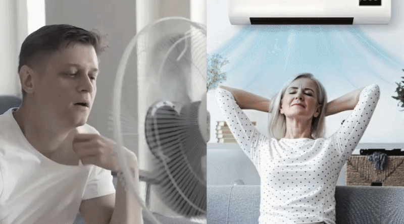 Visible dust motes and allergens floating in a beam of sunlight indoors.