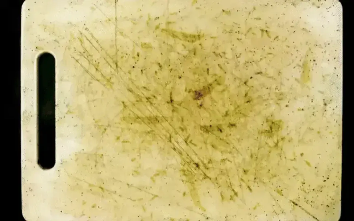 The Invisible Kitchen Danger Lurking Inside Your Cabinet